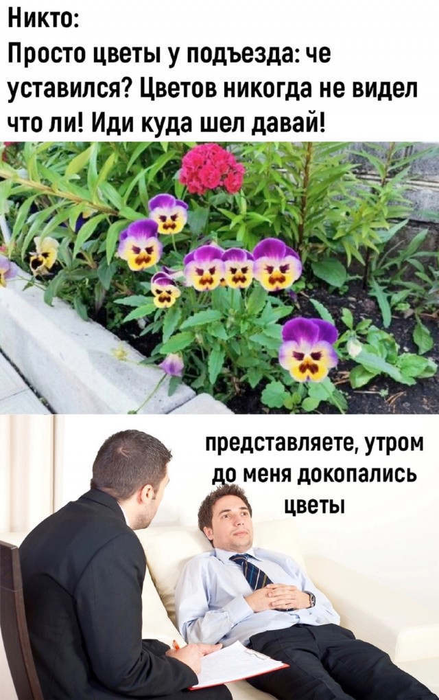 Так себе картинки 24.06.24