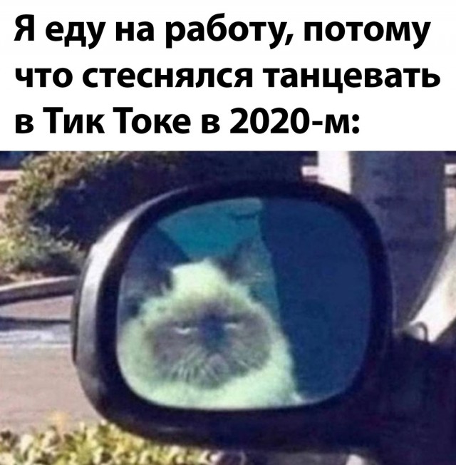 Весёлый полтишок 26.07.24