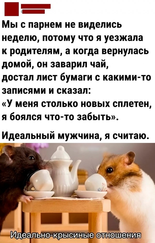 Так себе картинки 23.09.24