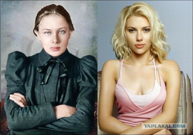 СлонотЯп-2. Итоги