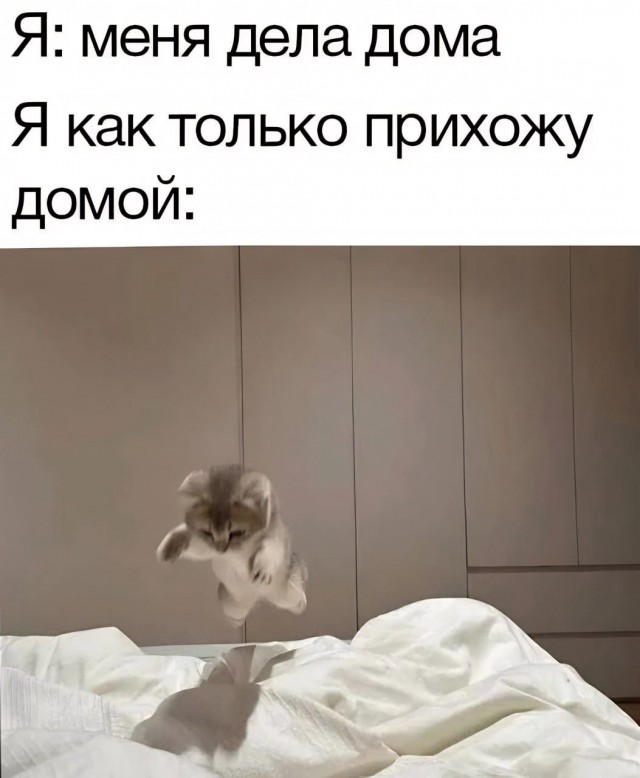 Жена, говорите?