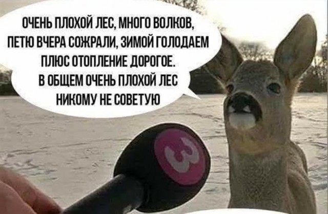 Так себе картинки 28.12.24