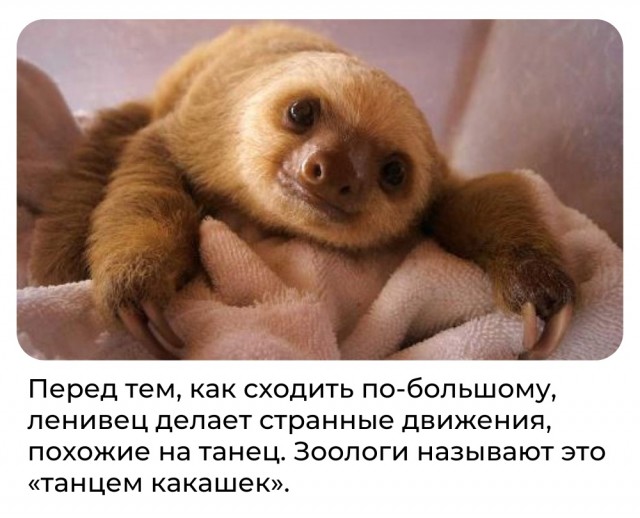 Всячина