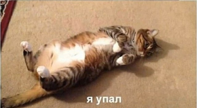 Хищники