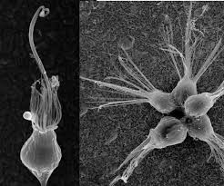 Человечество переживает новый этап эволюции, заявили ученые