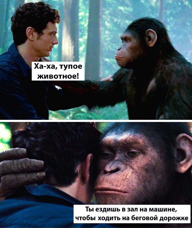 Немного картинок накануне выходных