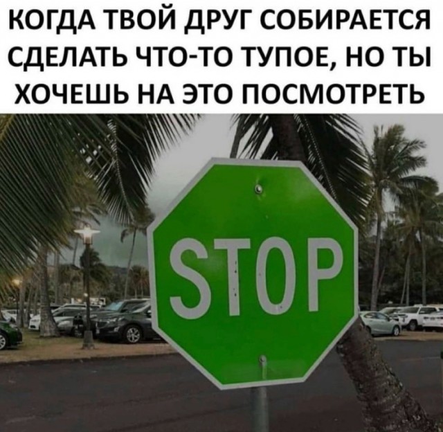 Картинки субботнего утра