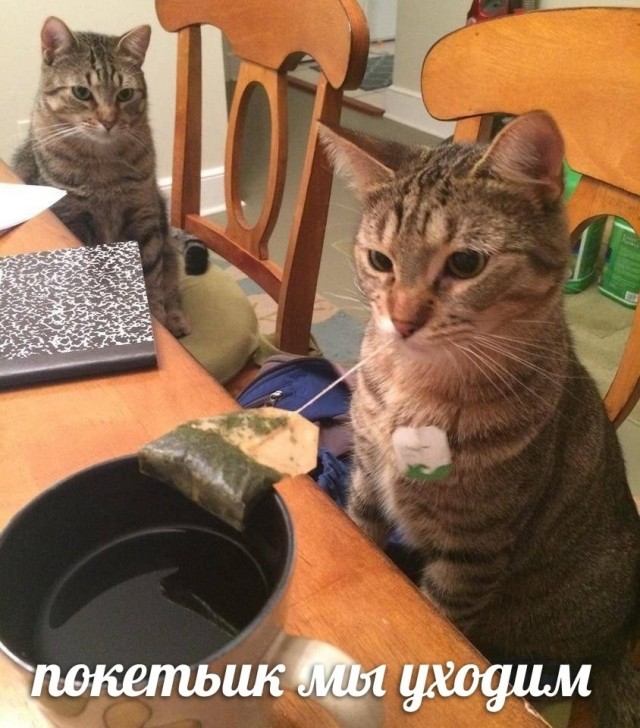 Напомню