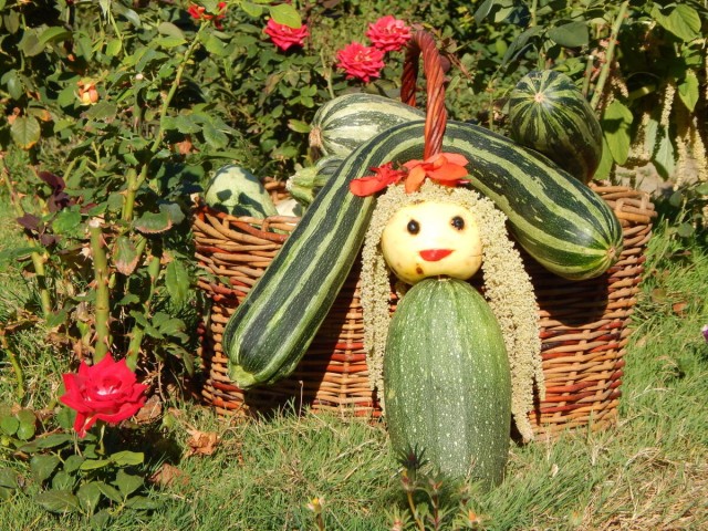 В Госдуме предложили  заменить Хэллоуин праздником урожая