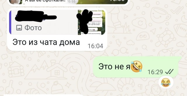 В доме появился замечательный сосед