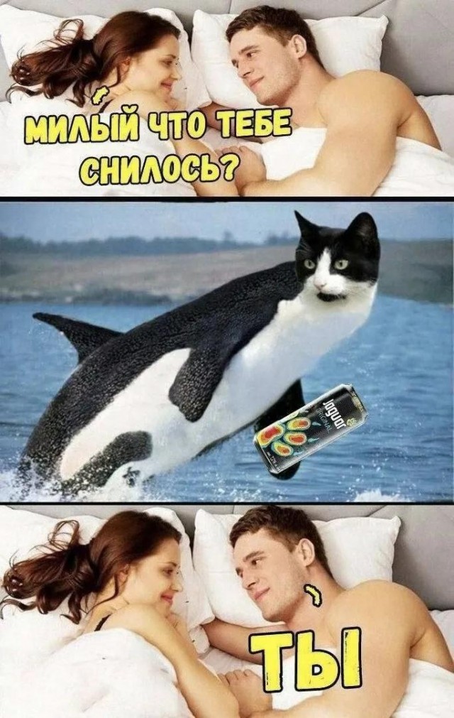 Воскресные картинки