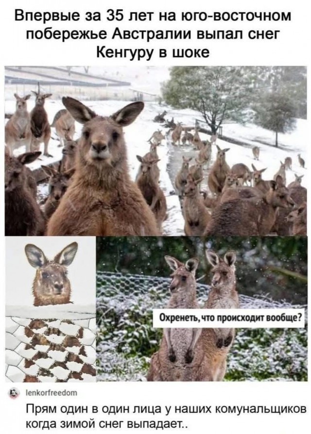 Воскресные картинки