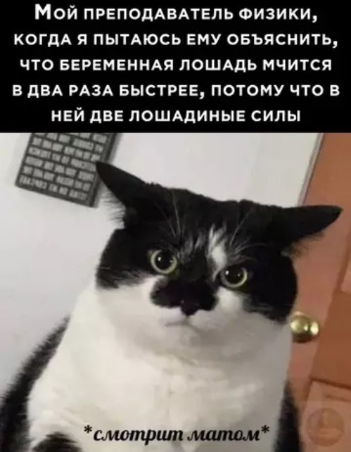 Картиночки, баянчики 18 апреля