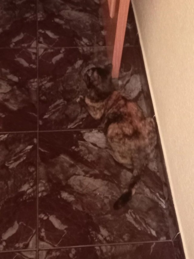 На каждом фото кто-то есть