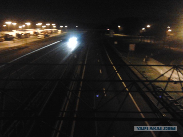 Где яблоки растут!