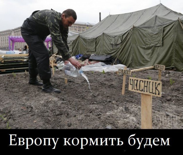 Новое. На Майдане всё спокойно-подоспел урожай.