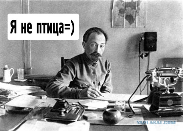 Люди, где тема? Или у меня глюки?