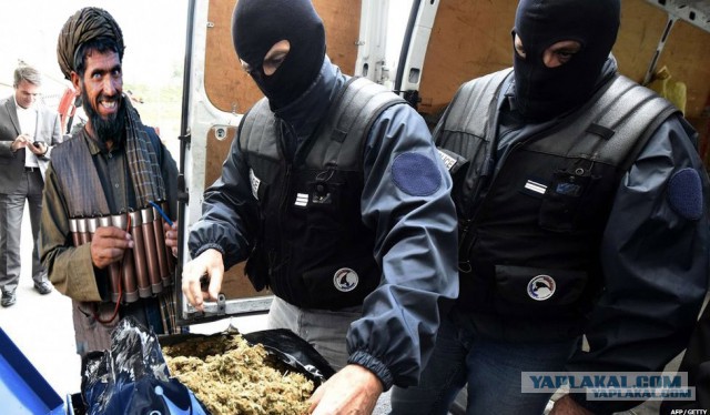 Почему бы не Пожабить?) 18+