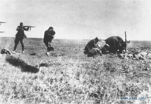 Фотографии второй мировой, многие цветные (фото)
