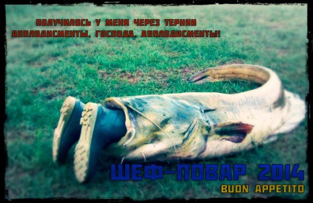 Финал кулинарного конкурса "Шеф-повар 2014"