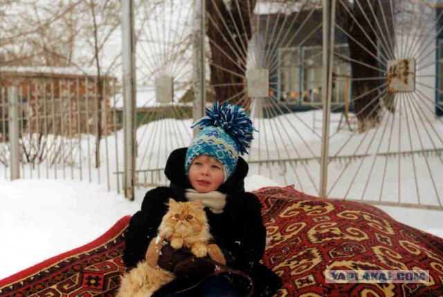 Котовторник 30.12.2014