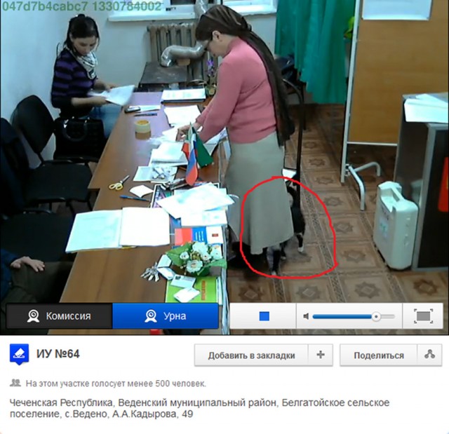 Веб-камеры на избирательных участках