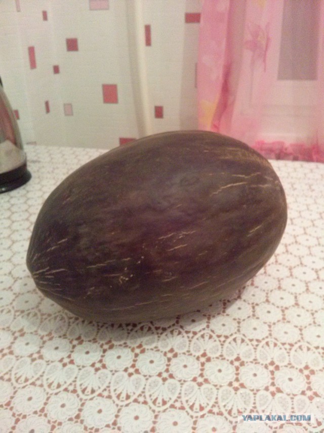 Кызылорда