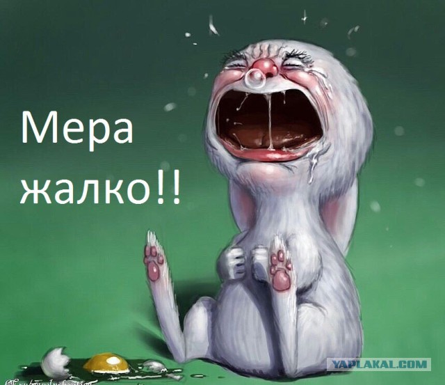 Мэр Вышнего Волочка умер в Турции