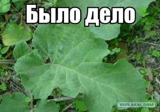 Покаяния пост.