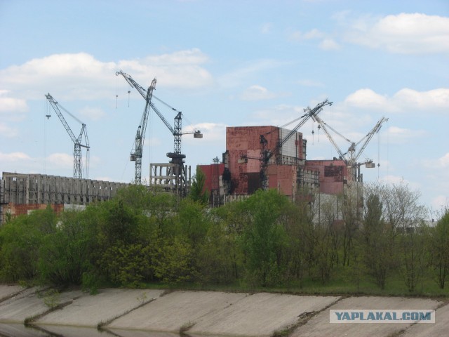 Черная быль
