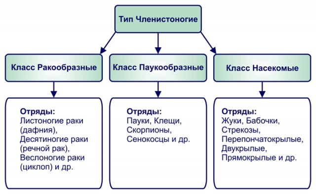 Открытие весенней охоты!