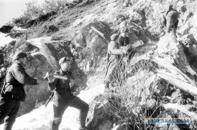 Великая Отечественная война в трактовке советской исторической науки
