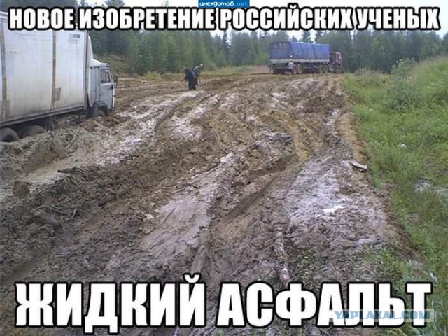 Путин пригрозил уволить чиновников, ставших академиками РАН вопреки его поручению