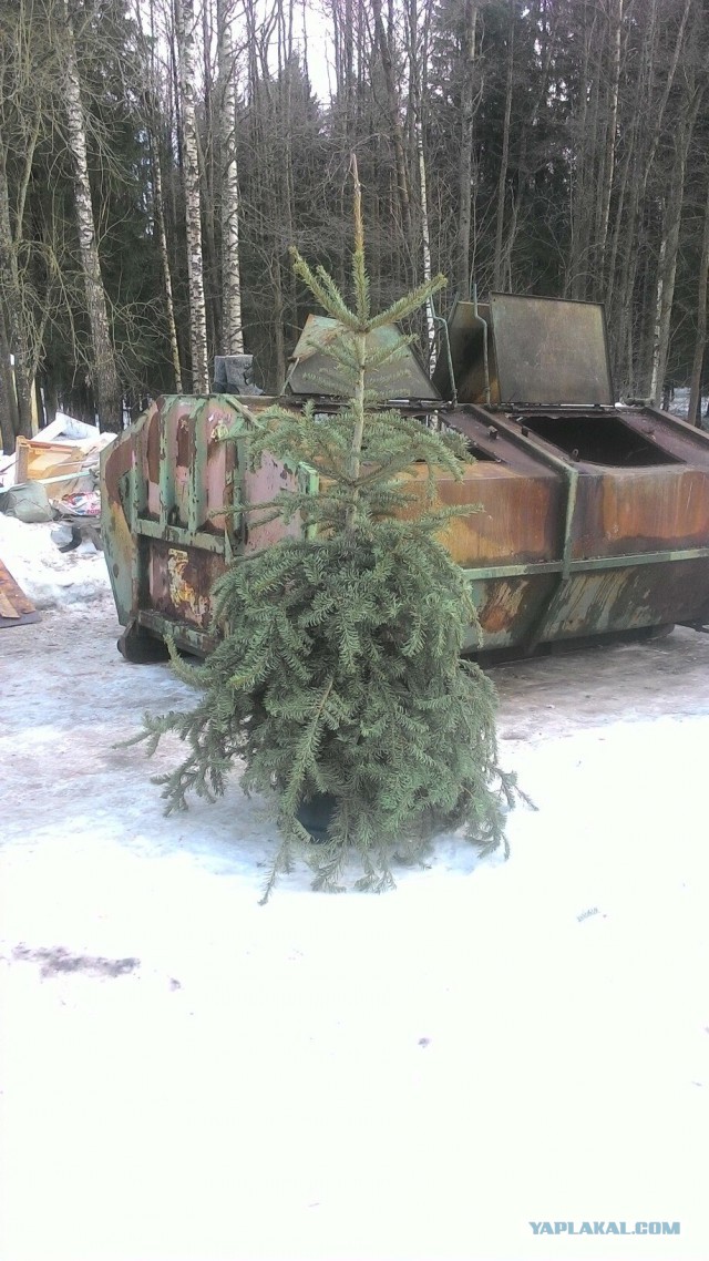 Прошу у всех прощения