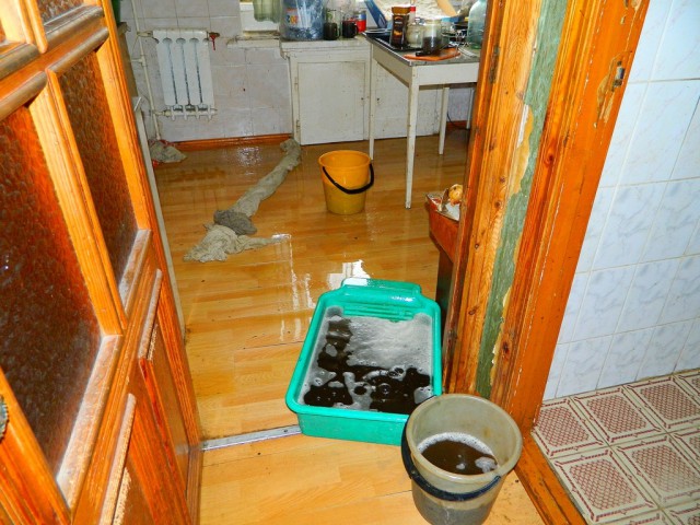 Мышь бегает по потолку.