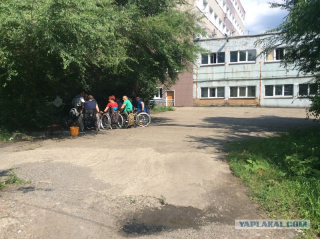 Жизнь как она есть 2