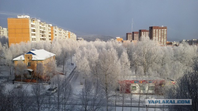 Я живу в Тынде