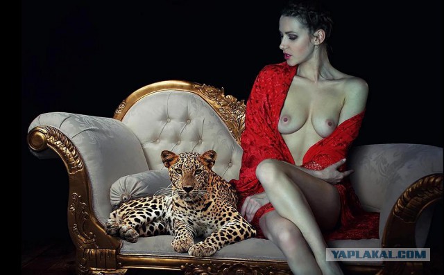 Котовторник 11.09.18.