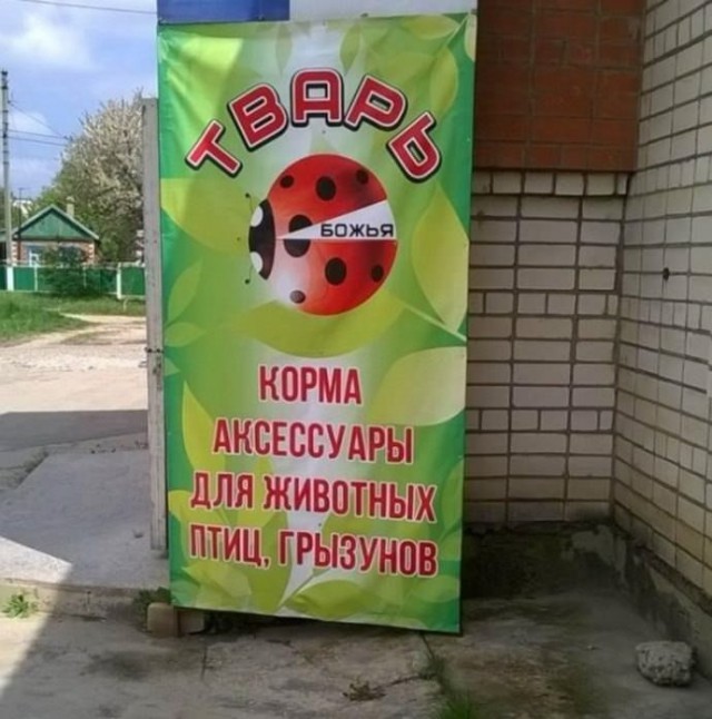 Прикольные картинки в понедельник 24.09