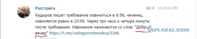 А вот и извинения Кадырову подъехали