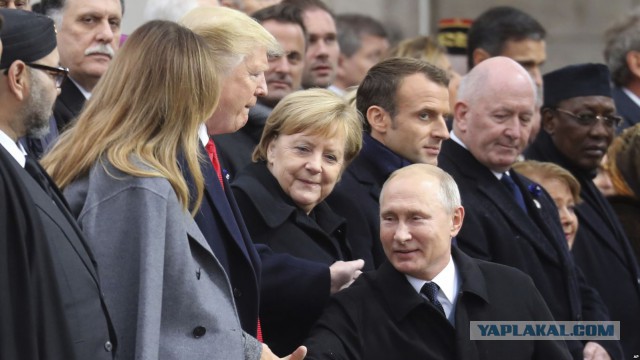 Путин и Трамп не поприветствовали друг друга на G20