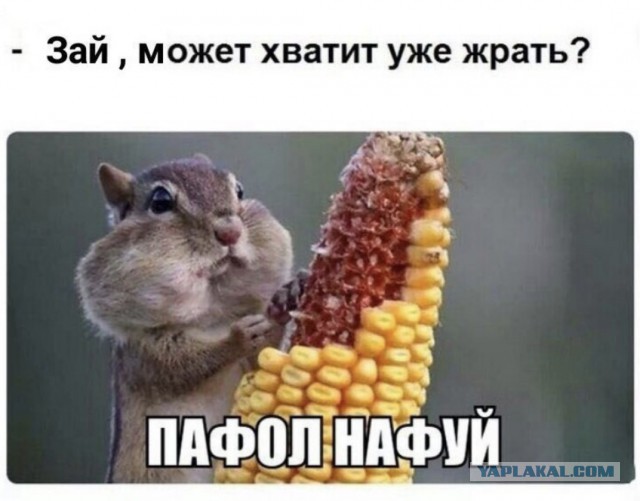 Немного картинок для настроения
