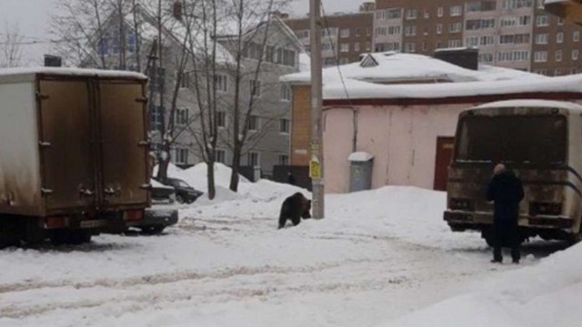"Врачебные ошибки случаются часто". Россиянка о жизни в Германии