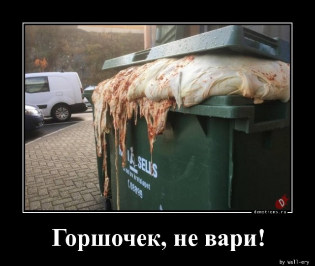 На Украине начались президентские выборы