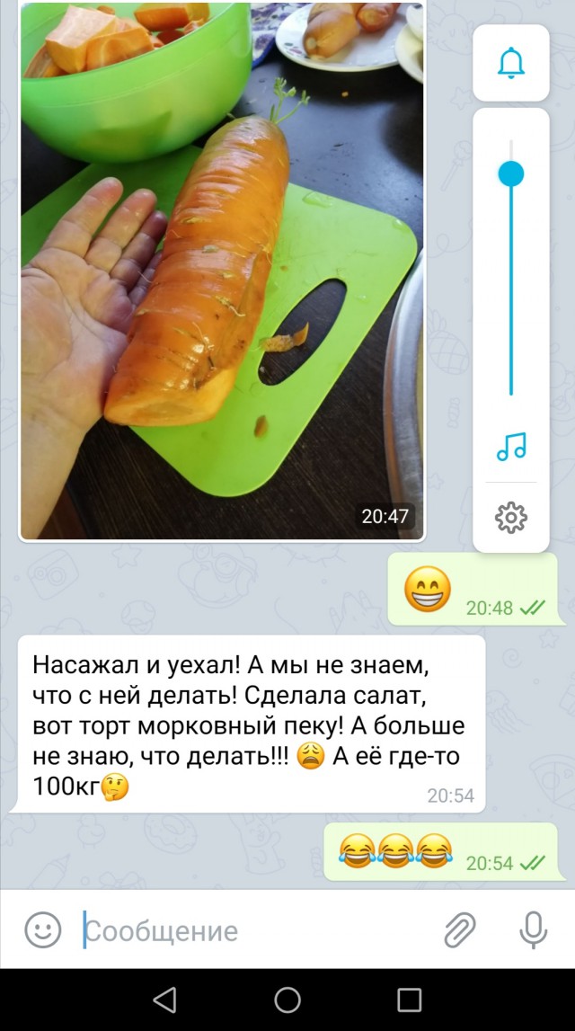 Урожай 2019. На зависть братьям-белорусам