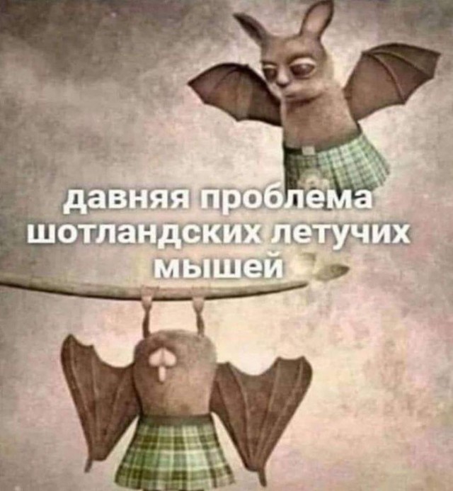 Картинки с надписями, истории и анекдоты 30.11.19