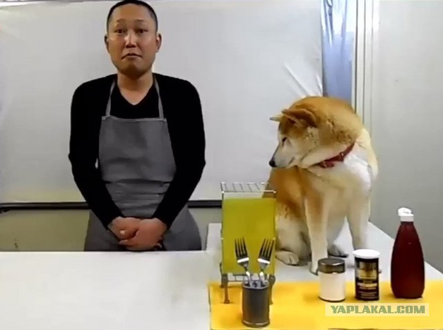 Корейский суп Юккедян (육개장)