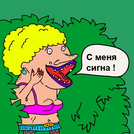 Сигны. Что такое сигны?