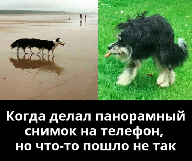 Бредзона 08.05.20
