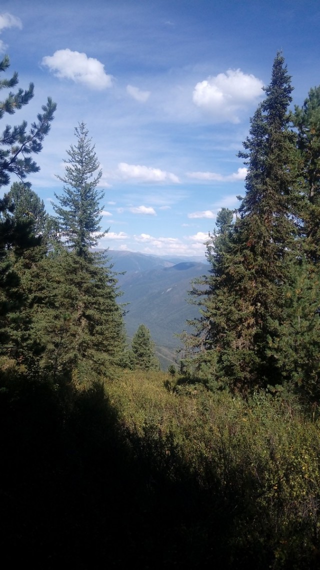 На конягах по Алтаю